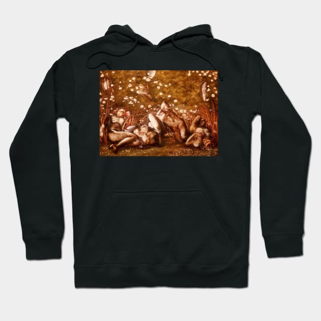 Study for The Sleeping Knights by Edward Burne-Jones Hoodie by Classic Art Stall